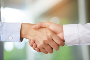 Closeup of a business hand shake between two colleagues Plaid shirt