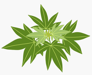 Fototapeta na wymiar Simplicity cannabis plant freehand drawing flat design.