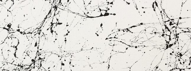 abstract art photography white background painting with black veins texture