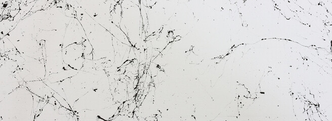 abstract art photography white background painting with black veins texture