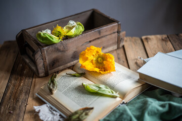 Mohnblüte auch Buch liegend, romantisch dekoriert
