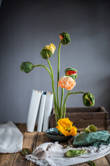 Fototapete bei efototapeten.de bestellen   