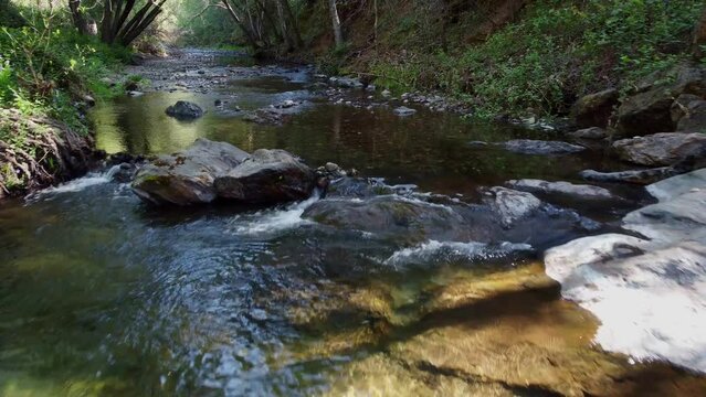 Rapids On Sutter Creek In Amador County