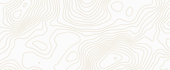 Fototapeta premium Abstract stylized topographic contour elevation in lines and contours, the concept map of a conditional geography scheme and the terrain path, vector illustration of topographic line contour map. 