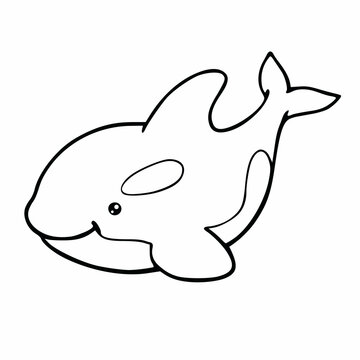 Kids coloring book of killer whale. Vector illustration outline drawing. Isolated line drawing cute cartoon animal underwater world printable clipart.