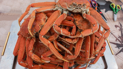 Boiled snow crabs are placed on a tray. Close-up. Bright red shells, long legs, claws are visible. Kamchatka. Petropavlovsk-Kamchatsky