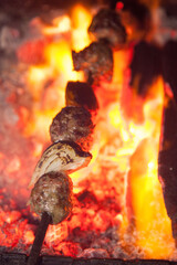 Flame grilled kebab 