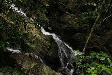 Obraz premium 新緑の森の中の滝を上から見る 