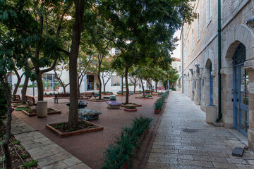 Fototapeta premium Palm trees in the city 