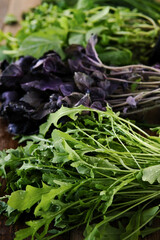 Fresh greens. Fresh basil, parsley, arugula, mint, on a wooden background. Salad ingredients.