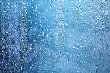 autumn fog landscape forest mountains, trees view mist