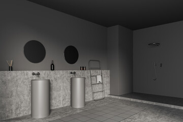 Grey bathroom interior with two sinks and douche, deck and rail ladder