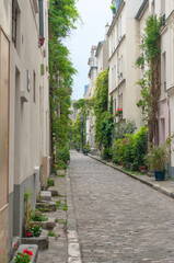 Narrow European street without people with paving stones on the road and plenty of greenery. Spring or summer background