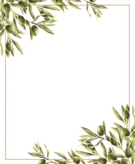 Watercolor border with olive branch and leaves isolated on a transparent background. © Aleksandra Baianova
