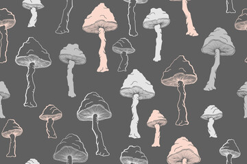 Amanita choky inedible mushrooms seamless pattern vector illustration.