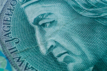 Closeup polish currency. Banking crisis concept. PLN cash. Financial backgrounds