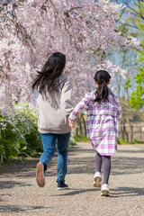 Fototapeta premium 春の公園で遊んでいる子供姉妹の姿