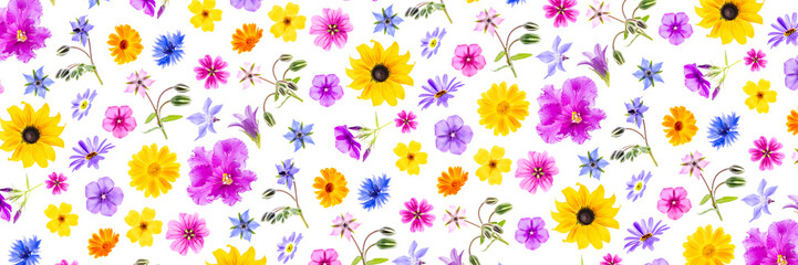 Bright floral  banner of colorful flowers on a white background, as a backdrop or texture. Spring, summer wallpaper for your design. Top view Flat lay