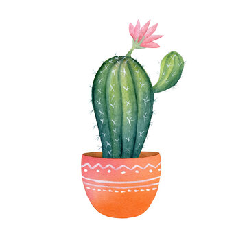 Watercolor cactus in a clay pot.  Hand painted exotic plant. Tropical succulent in the Mexican style. Clipart illustration of houseplant for background, sticker, digital paper, home decor.