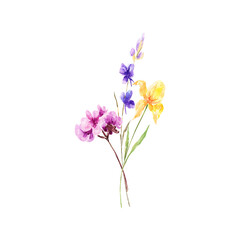 Fototapeta na wymiar Decoration isolated on white background, bouquet of wild composition.Watercolor bouquet of spring flowers.For Mother's Day, wedding, birthday, Easter, Valentine's Day.