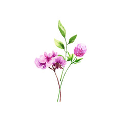 Decoration isolated on white background, bouquet of wild composition.Watercolor bouquet of spring flowers.For Mother's Day, wedding, birthday, Easter, Valentine's Day.