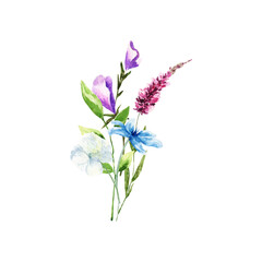 Decoration isolated on white background, bouquet of wild composition.Watercolor bouquet of spring flowers.For Mother's Day, wedding, birthday, Easter, Valentine's Day.