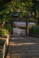 東京都台東区　上野東照宮　不忍口参道