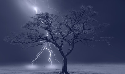Lightning strike on a dark blue sky over the tree branch silhouette