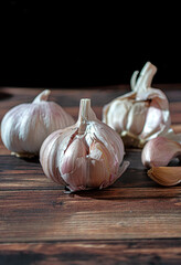 Fresh garlic bulbs and a garlic press on an old wooden board and a burlap backing.