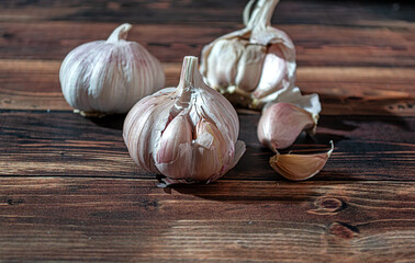 Fresh garlic bulbs and a garlic press on an old wooden board and a burlap backing.