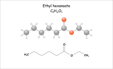 Stylized molecule model/structural formula of ethyl hexanoate. Use as flavoring component for food.