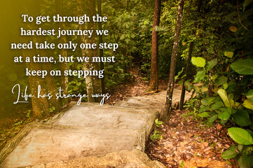 Inspirational motivational quote about journey in life with vintage jungle pathway background....