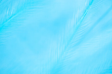 Fototapeta na wymiar Abstract blurred blue background, plants