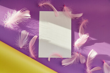 Happy birthday, invitation, anniversary festive holidays wishing concept. White mockup with pink feathers and shadows. Purple color background. Copy space