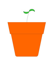 plant in a pot