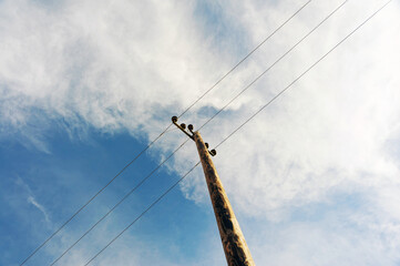 Wooden eletric pole with wires on a beautiful morning and blue sky on background, diagonal...
