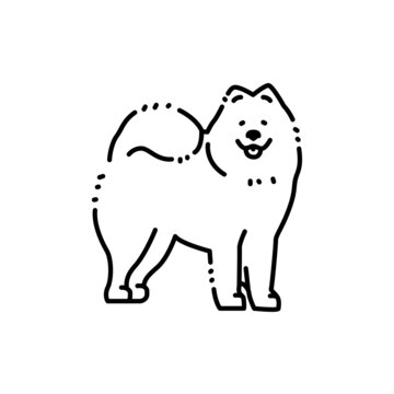 Samoyed color line icon. Dog breed.