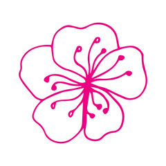 Flower art line. Sakura or Apple blossoms in vector isolated on white background. Spring flowers drawn in black and white line. Icon or symbol of spring and flowers.Doodle outline. Sketch.