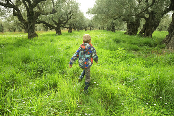 Little boy running through the garden, rear view, village. Childhood. The view from the back.