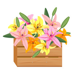 Wooden box with lilies. Vector illustration of lilies in a box.