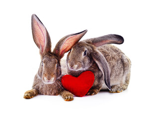 Fototapeta na wymiar Two rabbits and heart.