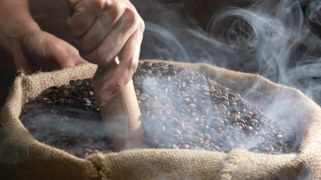 Freshly roasted aromatic strong dark brown coffee beans scooped up by a wooden spoon above a large pile of fresh beans in burlap sack. Slow motion.