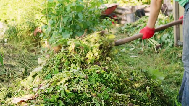 unrecognizable female gardener stringing weeds on pitchforks to transfer grass to compost heap, farmer making biologically safe fertilizer in agriculture