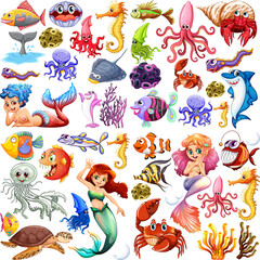 Different types of sea animals