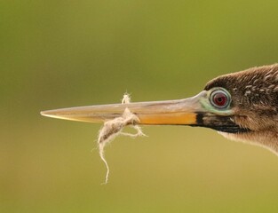 The Damage People Can Do