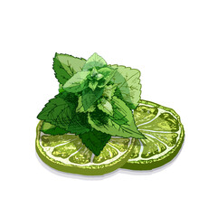 686_MINT_traditional christmas sweets green sprig of mint and two pieces of lime on a white background, citrus fruits and fresh herbs, set for mojito, refreshing drinks