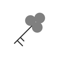 Key Icon