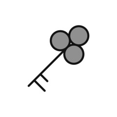 Key Icon