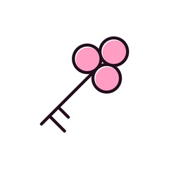 Key Icon
