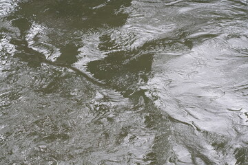 Hochwasser in einem Fluss, Zeichen des Klimawandels und der Klimafolgen